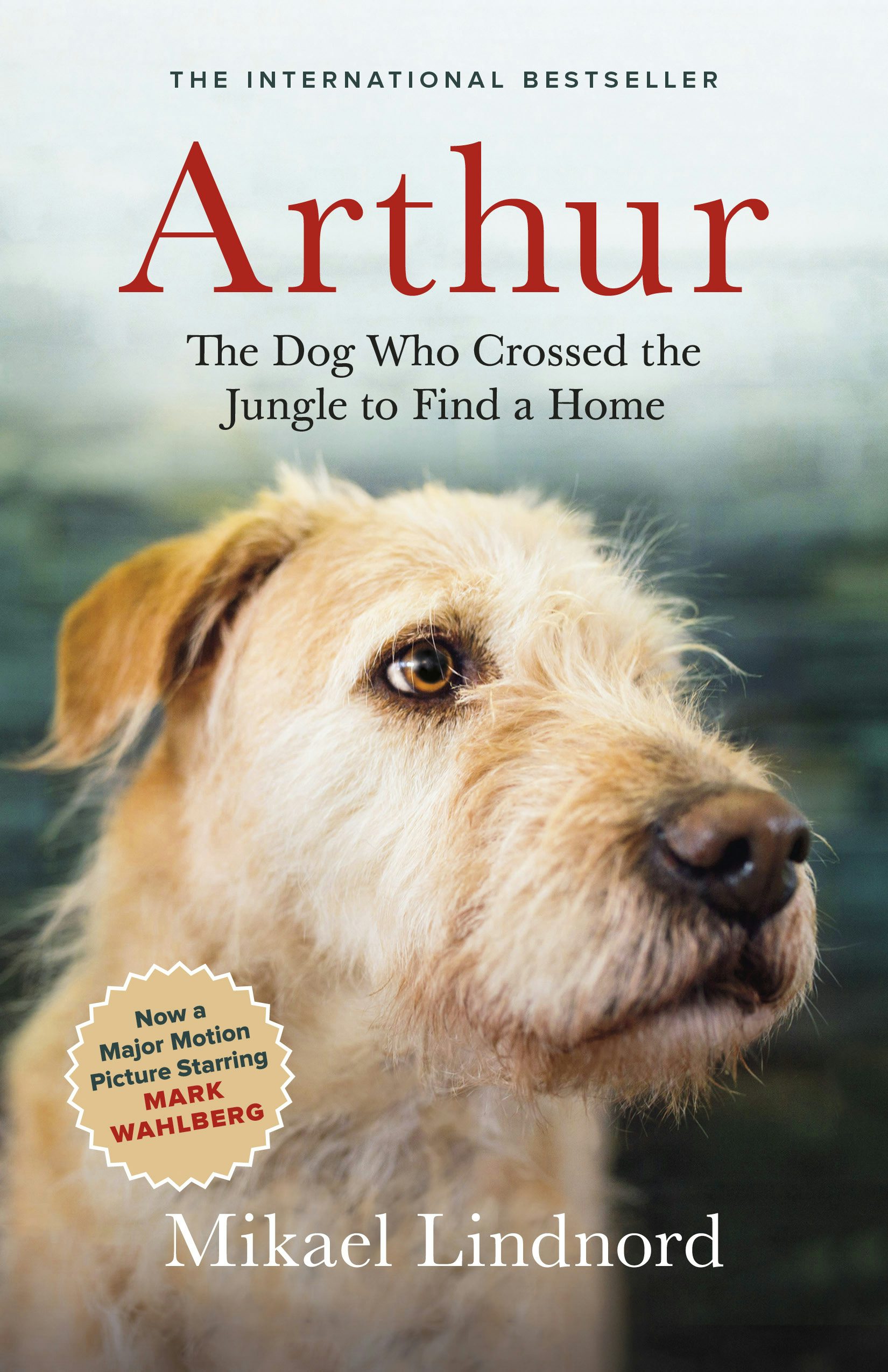 Book cover image for Arthur ISBN: 9781771643382